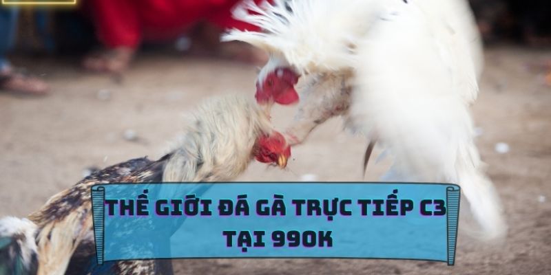 Tìm hiểu về việc xem đá gà trực tuyến